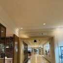 로이스커피(Roy's COFFEE) | 힐튼 괌 리조트 프리미엄룸 후기(조식, 수영장, 카페, 로이스 라운지 전부✌🏻)