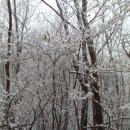 마이종합학습장 이미지