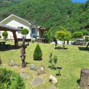 환선로 | 삼척펜션 찾다가 발견한 봉구하우스, 삼척애견동반펜션으로 완벽했던 힐링 여행 후기