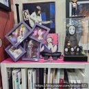 아이비스 안경 콘택트 이미지