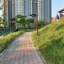 부천-오정-부천-6호 이미지