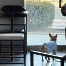 카페온니 | 여의도 국회의사당역 감성 카페 추천, 곳온니플레이스 여의도점!