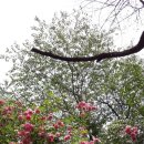 그늘과 빛의 기억  이미지