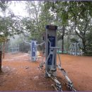 서리풀길 22 이미지