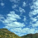 고릴라캠핑 in 속리산 | #006] &#34;사이트 크기가 미쳤다!&#34; 👍 새로 생긴 고릴라캠핑IN속리산! (ft. 대형 에어텐트 피칭도 넉넉한 후기)