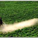 세종아그로텍 이미지