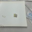 미드미동물병원 | 강아지 심장병 초기 진단 증상 약 먹이기 약 먹이는 방법