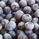 석산농장 이미지