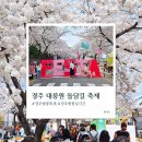 대릉원 화장실 | 경주 벚꽃축제 대릉원 돌담길 축제 첫날 방문 후기 실시간 개화 상황