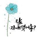 (디지털문해) 스마트폰 기초 이미지