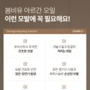 컬링헤어 - 포천시 | [봄비유] 내 푸석한 머리카락도 여신 머릿결로 한올 아르간 열보호 컬링 헤어 에센스 오일 찐 후기!