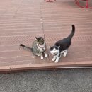 루비상회3