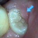 한스치과의원 이미지