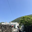 다랑들락 | 나만 알고 싶던 제주 숙소, 여성게스트하우스 다랑들락에 또 왔어요