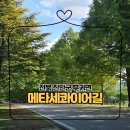 부귀 메타세쿼이아길 | 전북 진안 가볼만한곳 부귀 메타세콰이어길/주차/근처 가볼만한곳