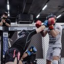 텐스플래닛 주짓수 레슬링 대구 이미지