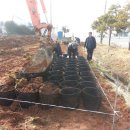 장용농장 이미지