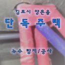 흥신로 티스토리