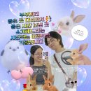 산청 글램핑장 꽃길글램핑 계곡옆 친절한 숙소 추천