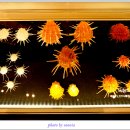 세계조개박물관 이미지