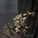 쌍곡 농장 이미지