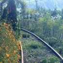 진주성매점 | 진주 가볼만한곳 데이트코스 추천땀 안 나는 레일바이크 전동 구간과 터널 인생샷 꿀팁