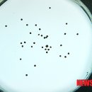 춘천시보건소 이미지