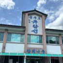 단양·충주 여행 필수 코스, 충주호 유람선 후기