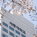 세종대학교 교육대학원 이미지