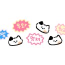 팔레트 펜션 이미지