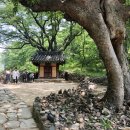 고모산성 주막 이미지