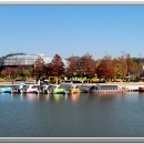 순천만 국가 정원 만추 풍경 이미지