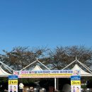 부산광역시 북구 견인보관소 | 2024년 부산 시각장애인 사랑의 마라톤대회 자원봉사 아쉬운 점 후기