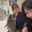 로제타안경 | 우당탕 8월일상