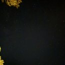 [발리_우붓] 바투르산일출지프투어, 블랙라바, 플로크, 트윈레이크