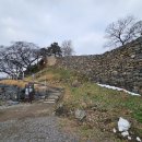 보령청과 이미지