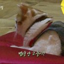 상귀농장