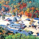 ☆ 속리산 법주사 단풍축제 초청공연 안내 ☆ 이미지