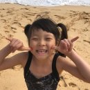 알로하