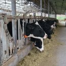 동림목장 이미지