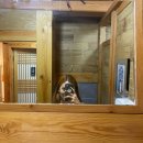 괘릉 화장실 이미지