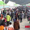 횡성한우축제장(섬강둔치) 이미지