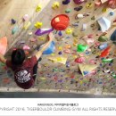 타이거볼더클라이밍짐 이미지