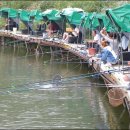 거일낚시터 이미지