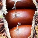 대경농장2 이미지