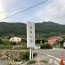 밤비노집 이미지