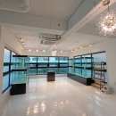 제이케이펫샵 이미지