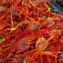 연지유통 | 홍게 맛집 추천! 선주 직판 신선한 제철 연지홍게 32,500원 후기