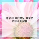 아나덴 슈가링왁싱 부천신중동역점 이미지