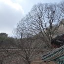 광산구-054 이미지